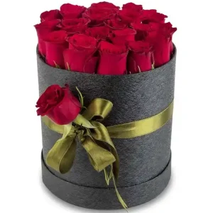 Sasa Mila Kutuda  Kırmızı Güller Serisi