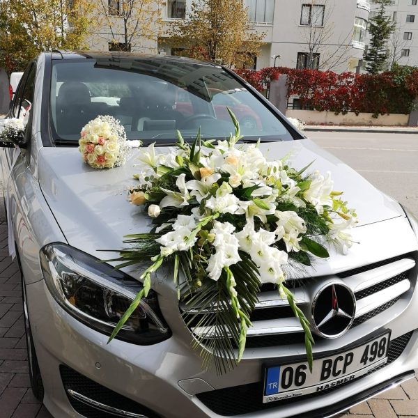 Gelin Arabası Serisi