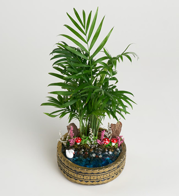 Şamandora Teraryum Bahçesi