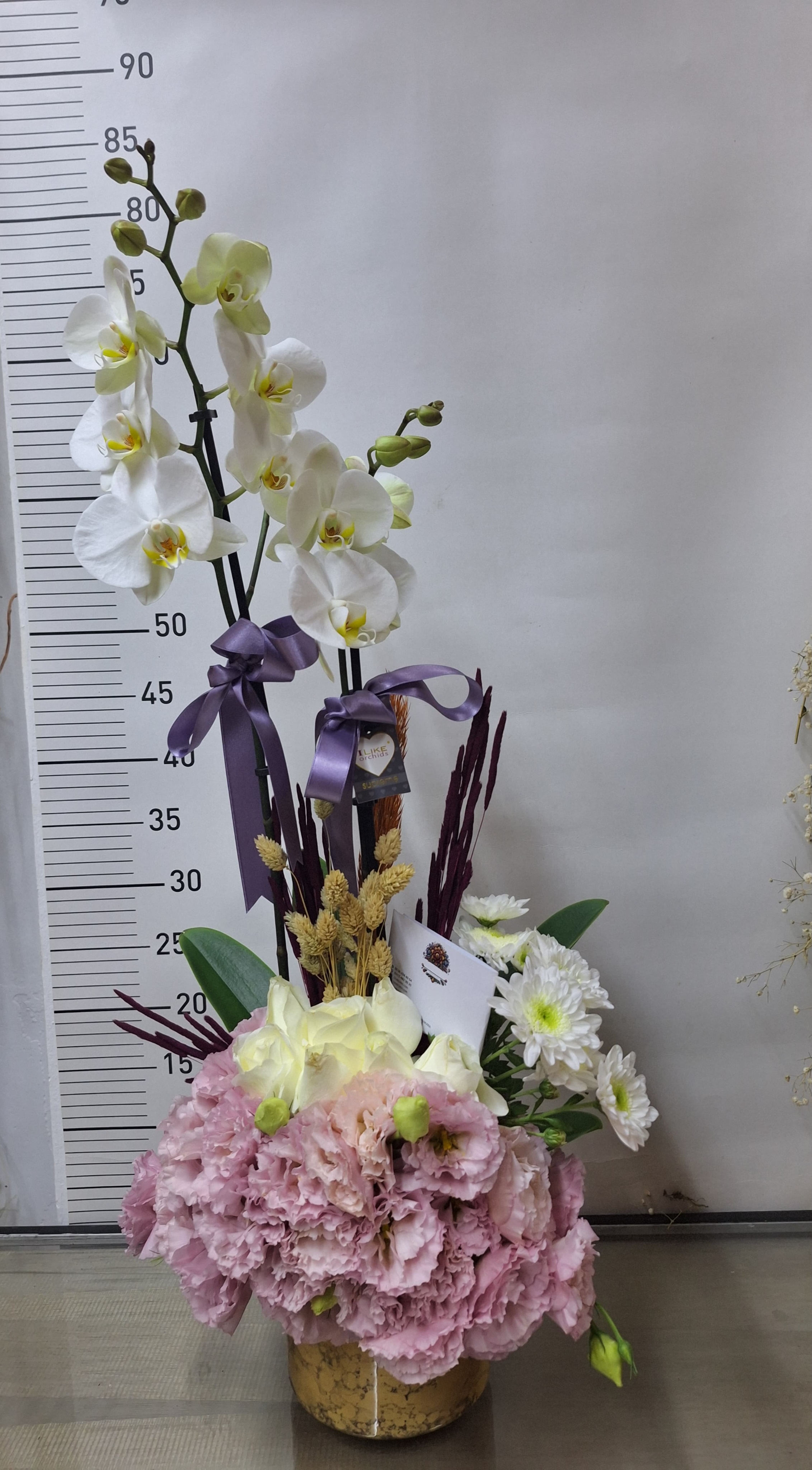 Arajmanli  Çift Dalli Beyaz Orkide Serisi