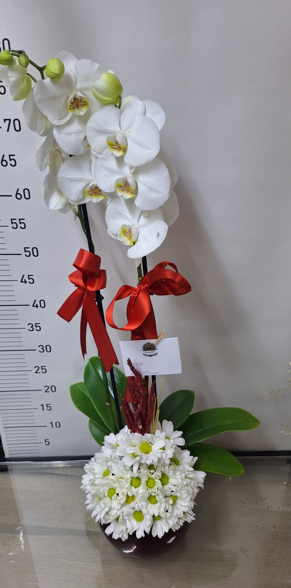 Çift Dalli Beyaz Orkide Tasarımı Arajmanli